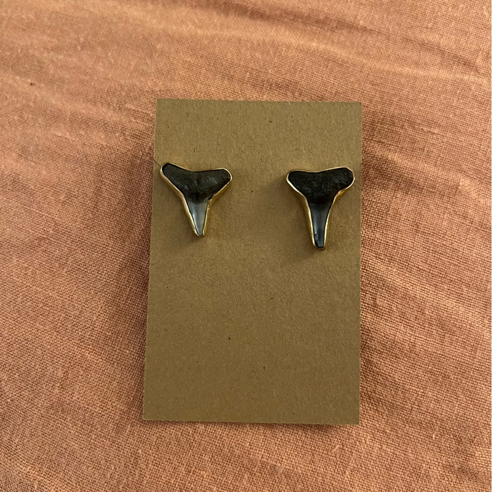 Charles Albert shark tooth earrings
